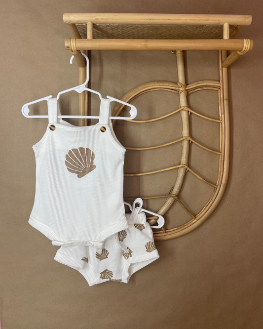 Seashell Set