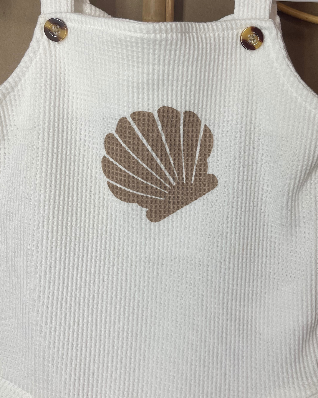 Seashell Set