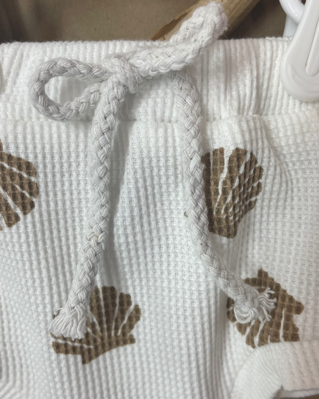 Seashell Set